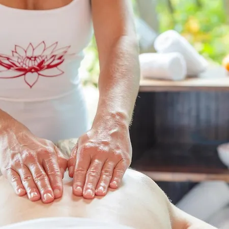 Atzaro Santa Eularia des Riu